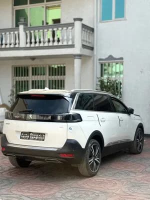 Peagout 5008 (2021/5)