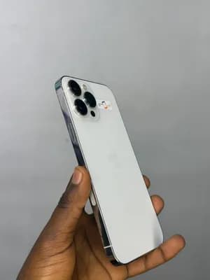 iPhone 13 Pro Max 256GB