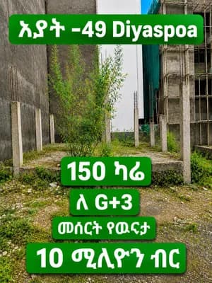 አያት ዲያስፖራ 150 ካሬ ሜትር