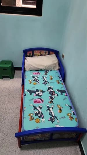 Adorable Baby/Kids Bed