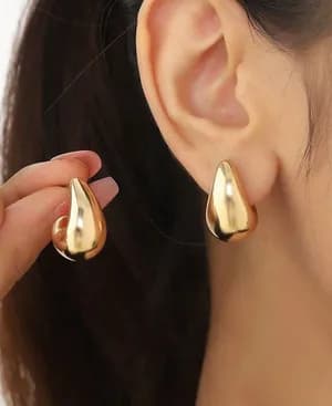 Stainless steel turkey earing