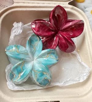 Flower and other hair clips